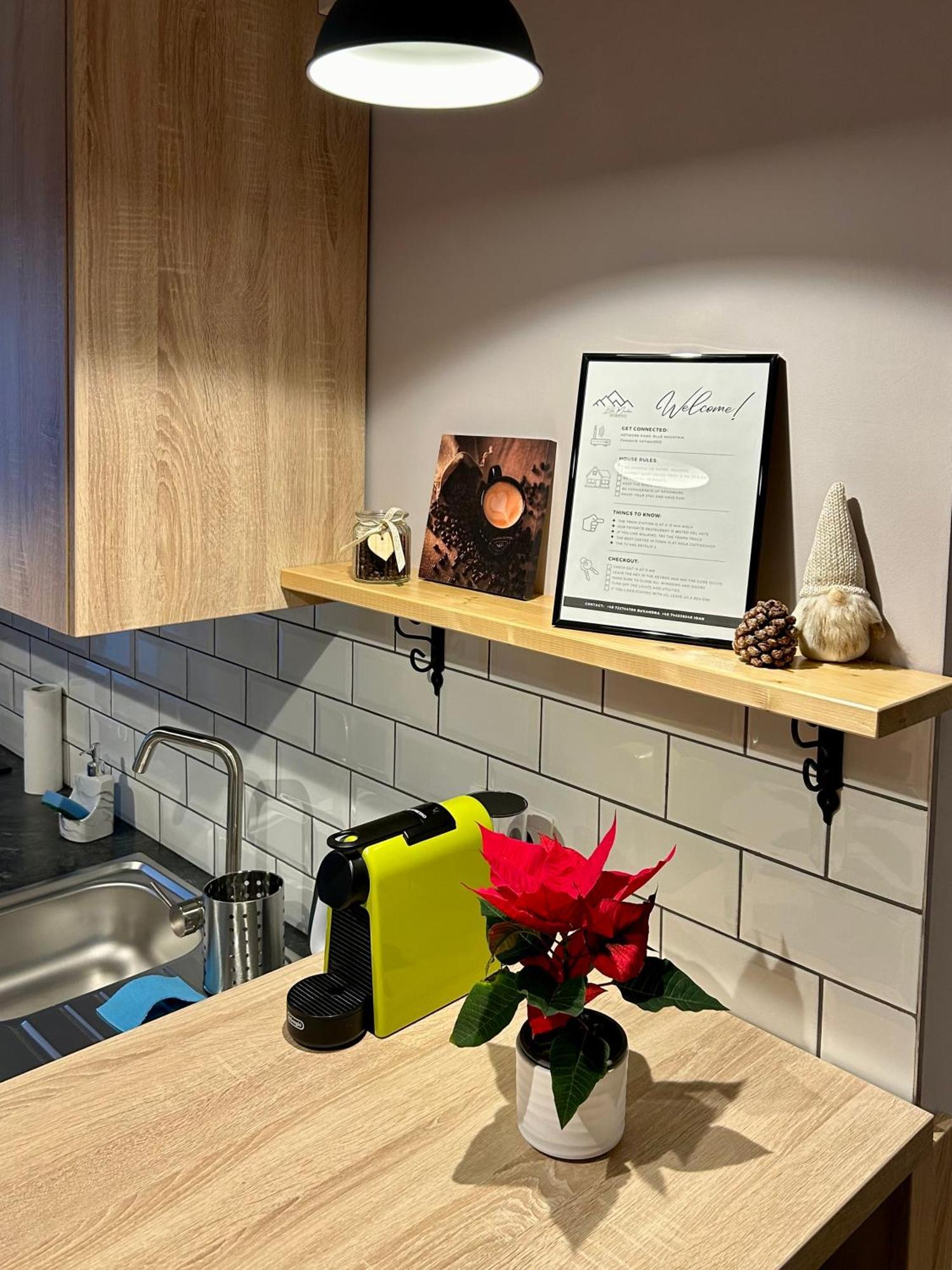 Blue Mountain Residence Brasov Ngoại thất bức ảnh